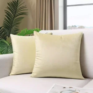 Velvet Cushion Covers Beige